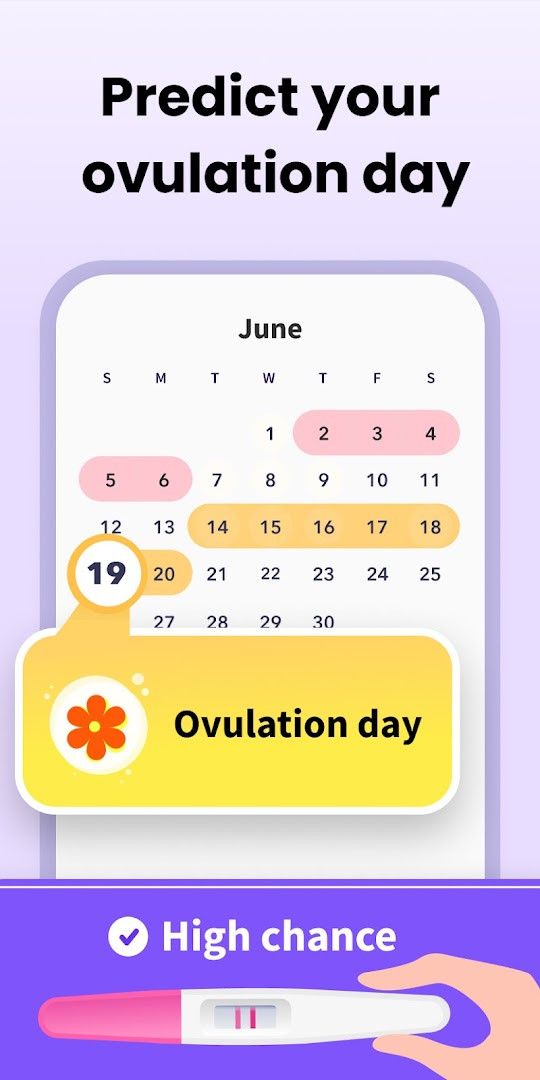 Fertility window chart showing high and low conception probability days