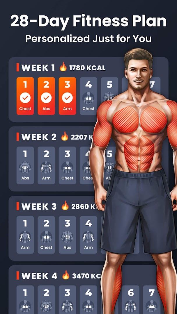 Exercise categories in Home Workout - No Equipment for different muscle groups