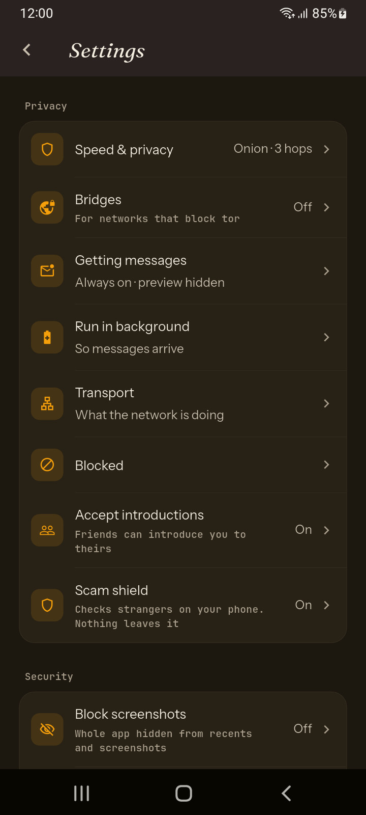 Kryfo app lock screen with PIN, biometrics and a decoy PIN option